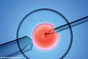 紫韵医疗
